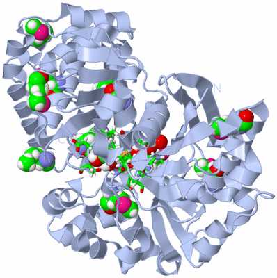 Image Biol. Unit 1 - sites