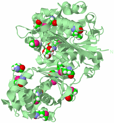 Image Biological Unit 2