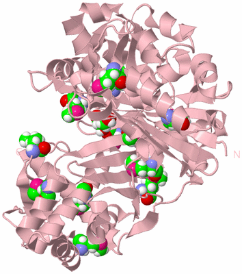 Image Biological Unit 3