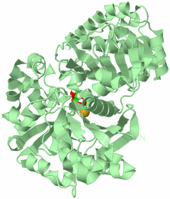 Image Biological Unit 2