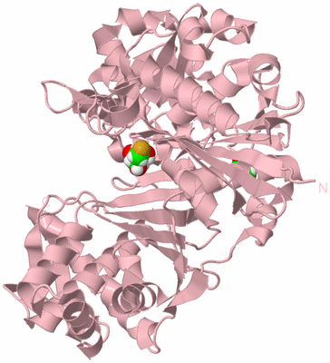 Image Biological Unit 3