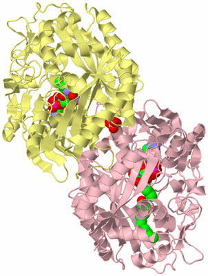 Image Biological Unit 2