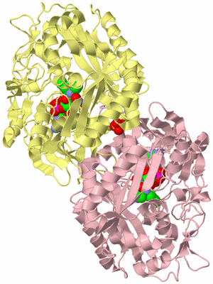 Image Biological Unit 1