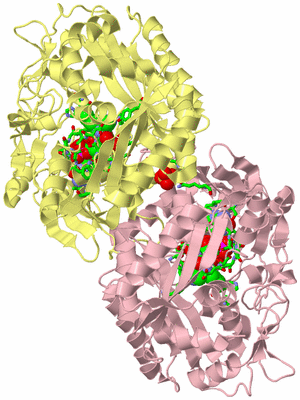 Image Biol. Unit 1 - sites