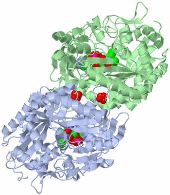 Image Biological Unit 2