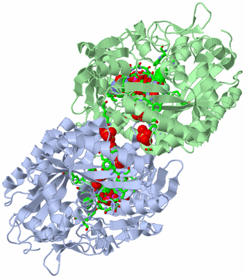 Image Biol. Unit 1 - sites