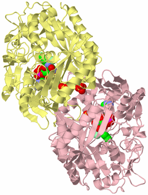 Image Biological Unit 2