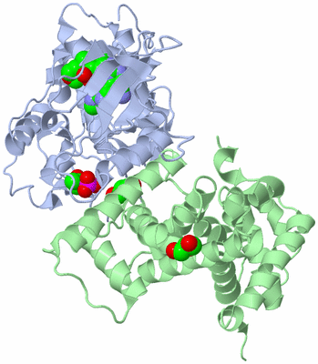 Image Asym./Biol. Unit