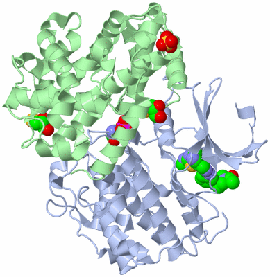 Image Biological Unit 1