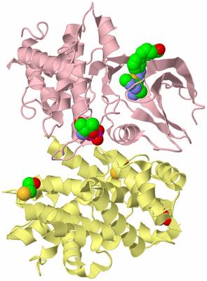 Image Biological Unit 2