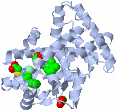 Image Biological Unit 1