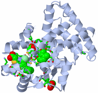 Image Biol. Unit 1 - sites