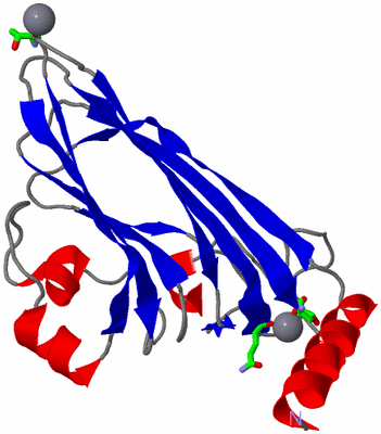 Image Asym. Unit - sites