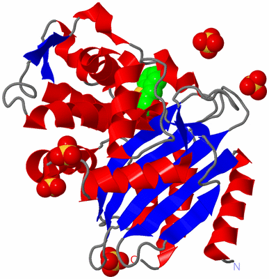 Image Asym./Biol. Unit