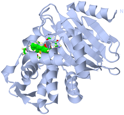 Image Biol. Unit 1 - sites