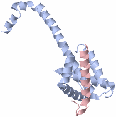 Image Asymmetric Unit