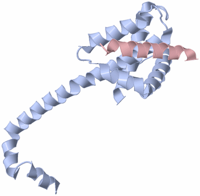 Image Asymmetric Unit