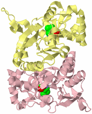 Image Biological Unit 2