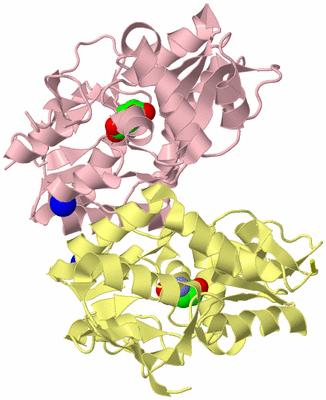 Image Biological Unit 2