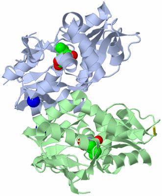 Image Biological Unit 1