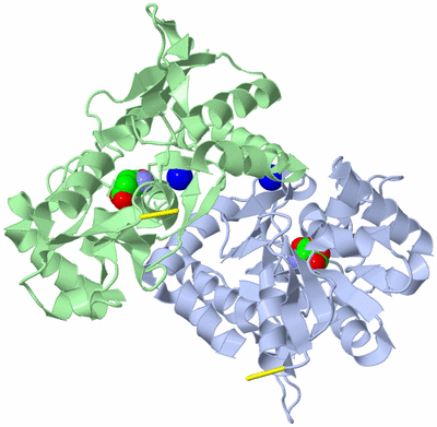 Image Asym./Biol. Unit