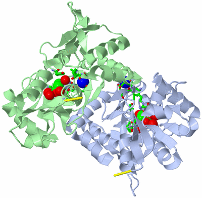 Image Asym./Biol. Unit - sites