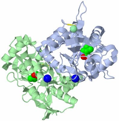 Image Asym./Biol. Unit