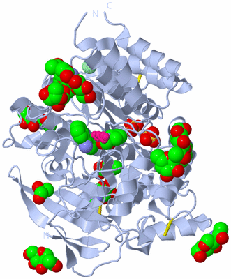 Image Biological Unit 1