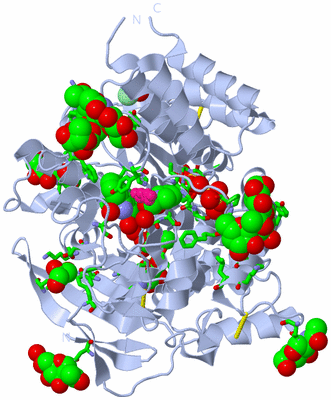 Image Biol. Unit 1 - sites