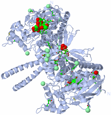 Image Biol. Unit 1 - sites