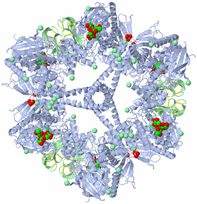 Image Biological Unit 2