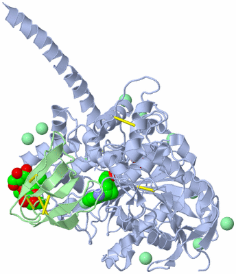 Image Biological Unit 3