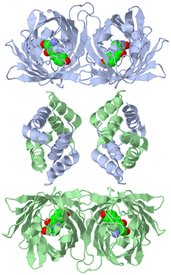 Image Biological Unit 1