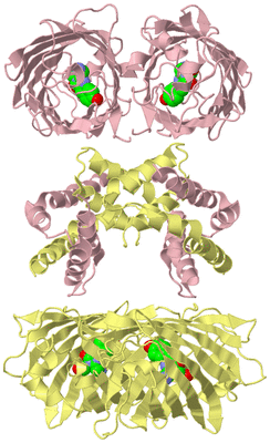 Image Biological Unit 2