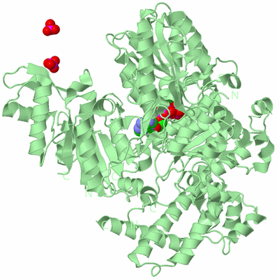 Image Biological Unit 1