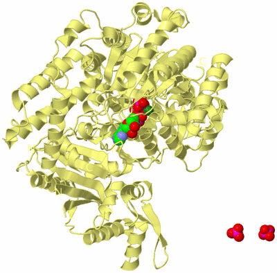 Image Biological Unit 2