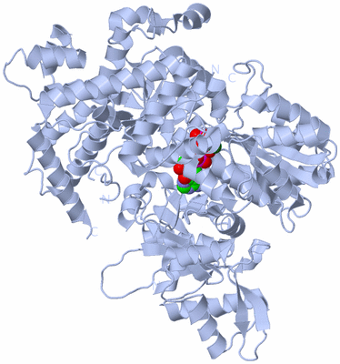 Image Biological Unit 1