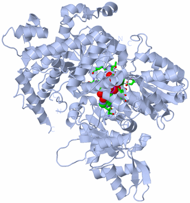 Image Biol. Unit 1 - sites