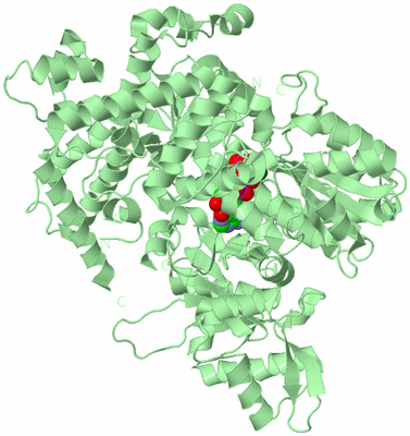 Image Biological Unit 2