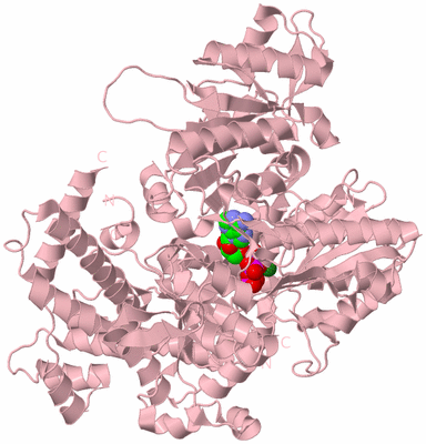 Image Biological Unit 3