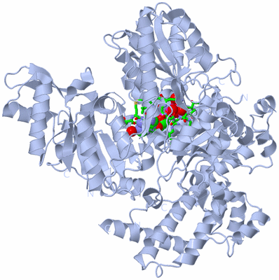 Image Biol. Unit 1 - sites