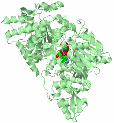 Image Biological Unit 2