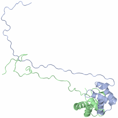 Image NMR Structure - model 1