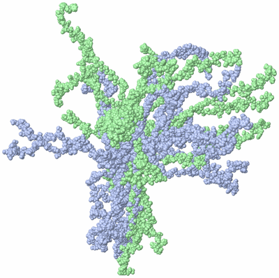 Image NMR Structure - all models