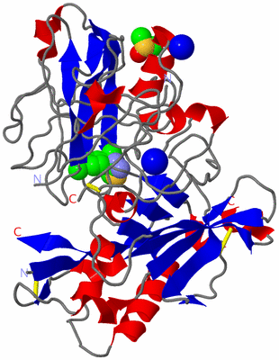 Image Asym./Biol. Unit