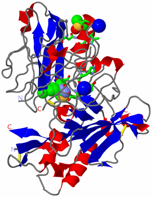 Image Asym./Biol. Unit - sites