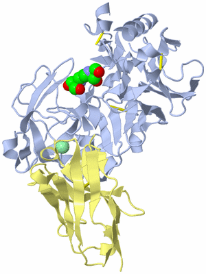 Image Biological Unit 1