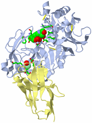 Image Biol. Unit 1 - sites