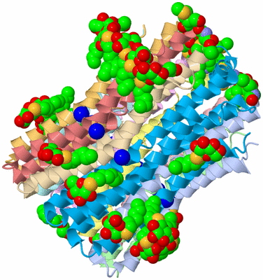 Image Asym./Biol. Unit