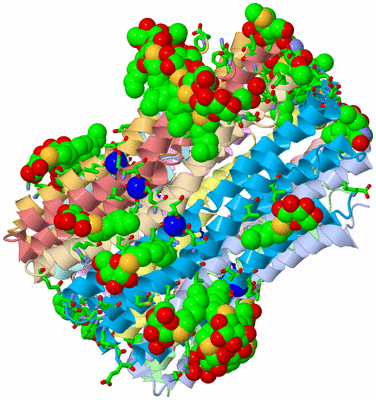 Image Asym./Biol. Unit - sites